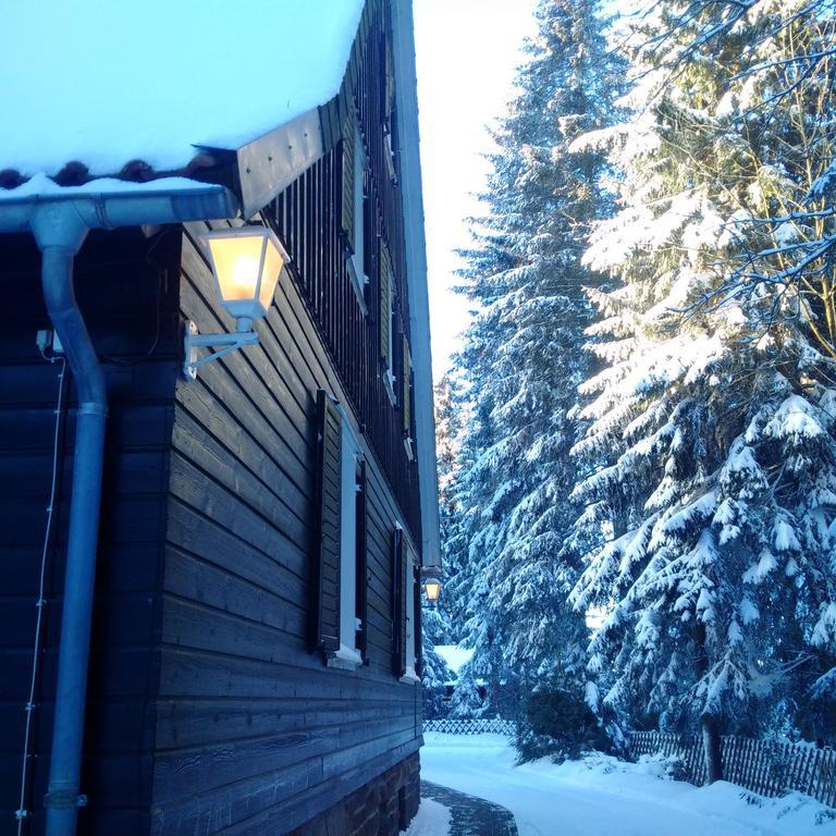 The Cabin - Harz National Park Sankt Andreasberg Bagian luar foto